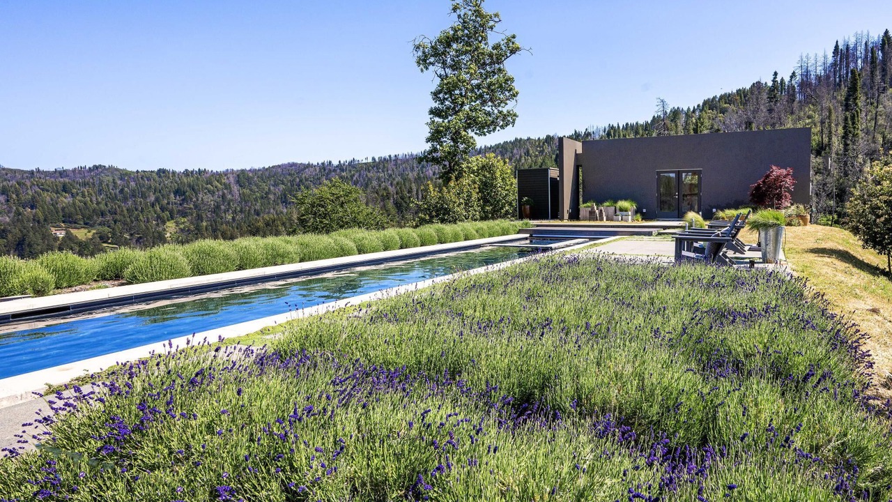 Photo of Outdoor in Healdsburg