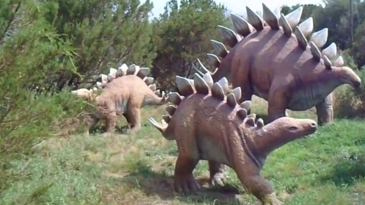 Photo of Others in Glen Rose