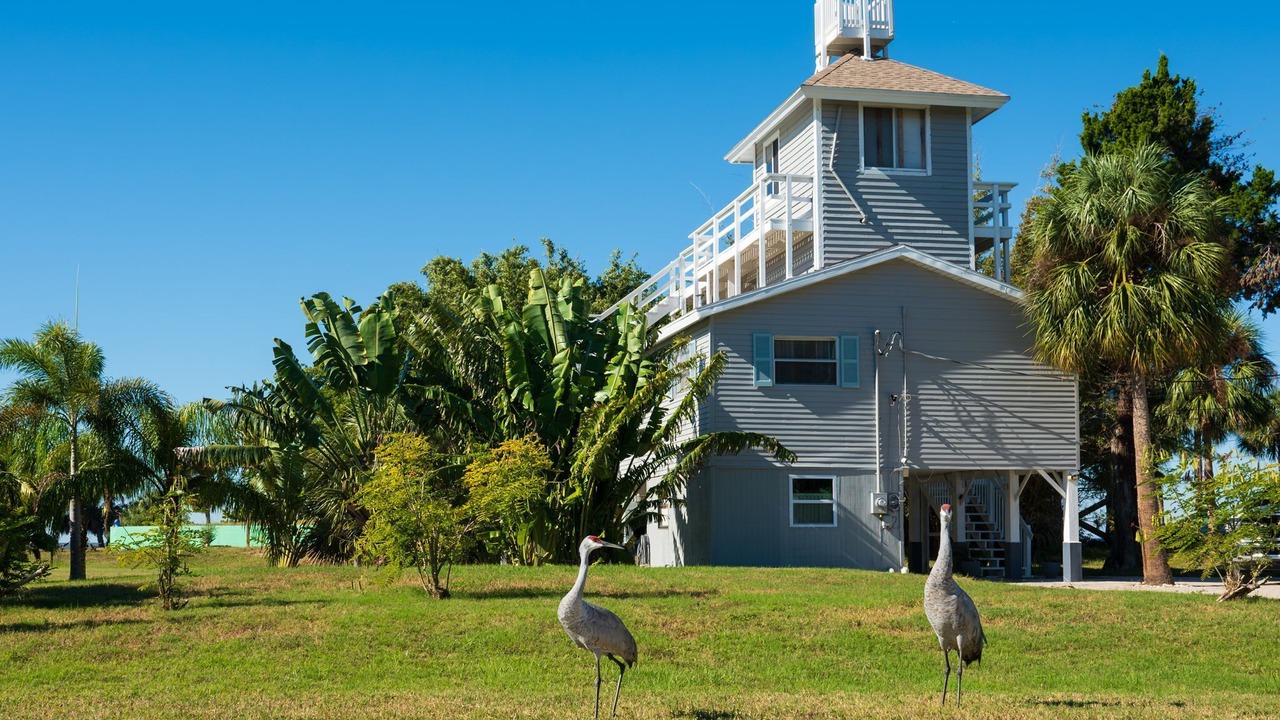 Photo of Outdoor in Pine Island