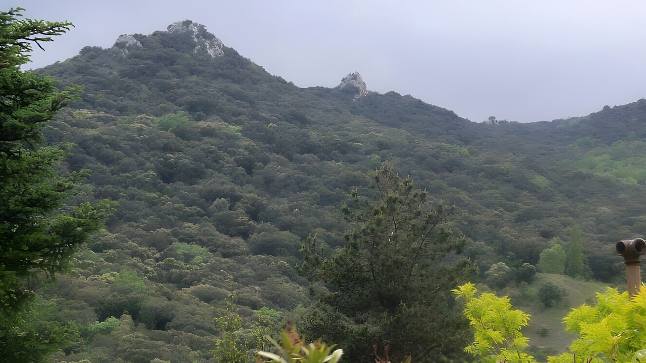 Photo of Others in Anotz