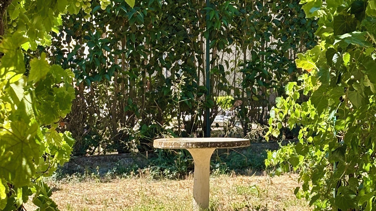 Photo of Outdoor in 14th Arrondissement
