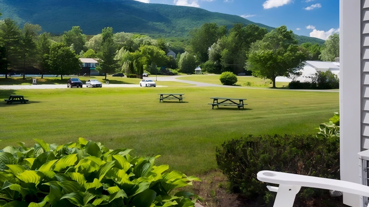 Photo of Others in Manchester