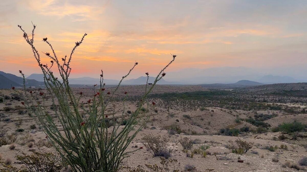 Photo of Others in Study Butte-Terlingua