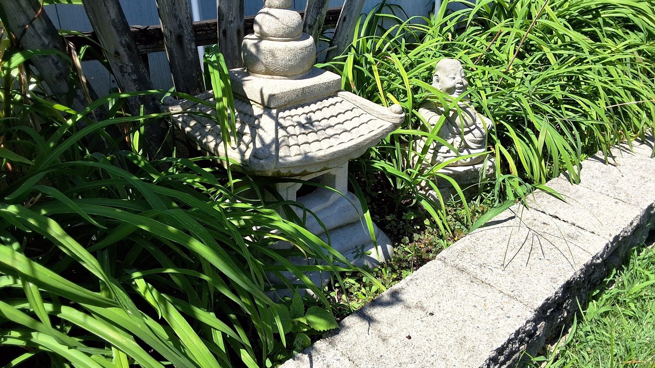 Photo of Outdoor in Elmont