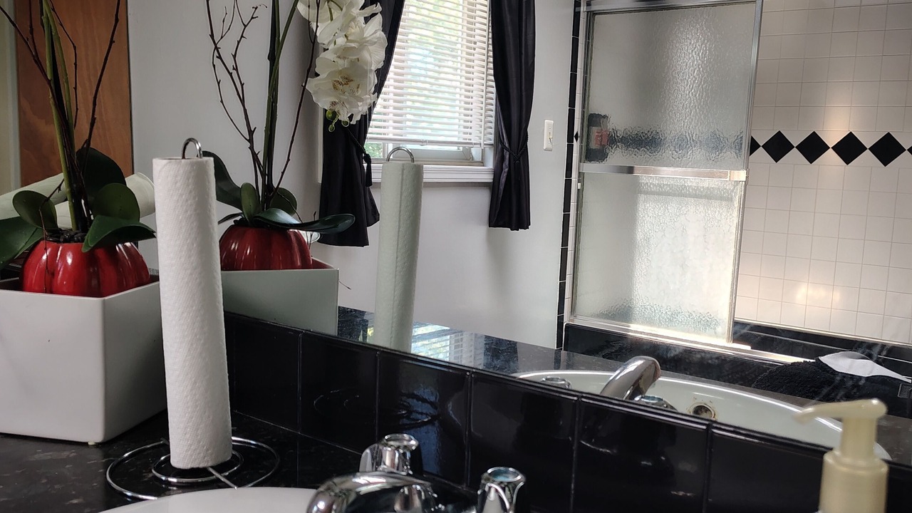 Photo of Bathroom in Elmont