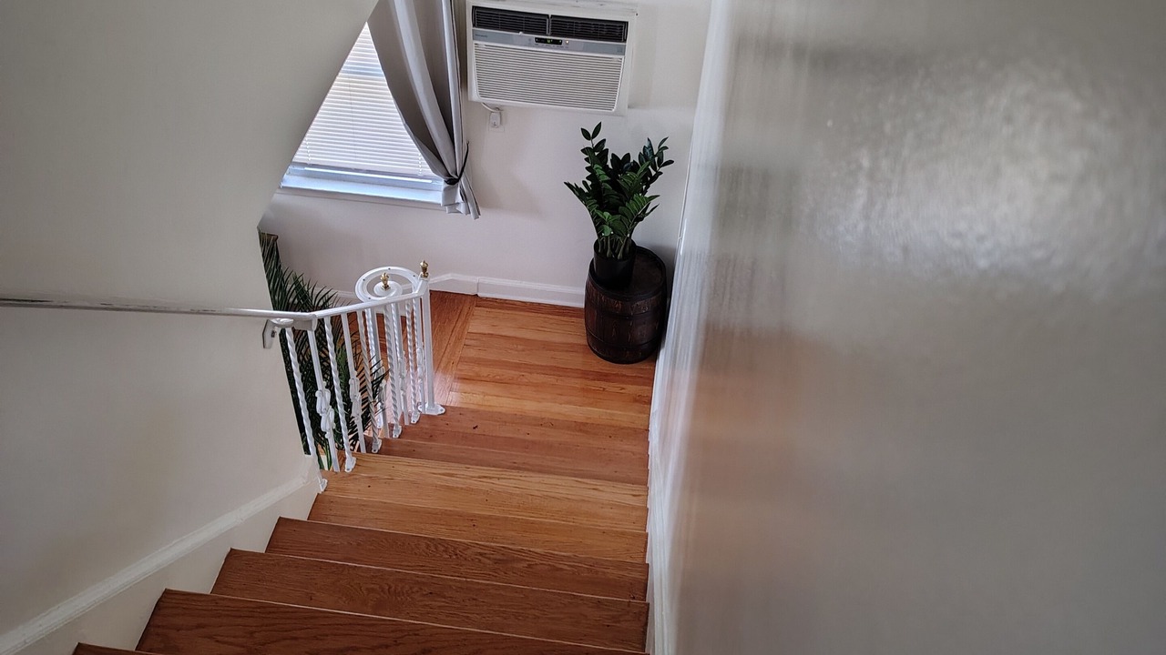 Photo of Others in Elmont