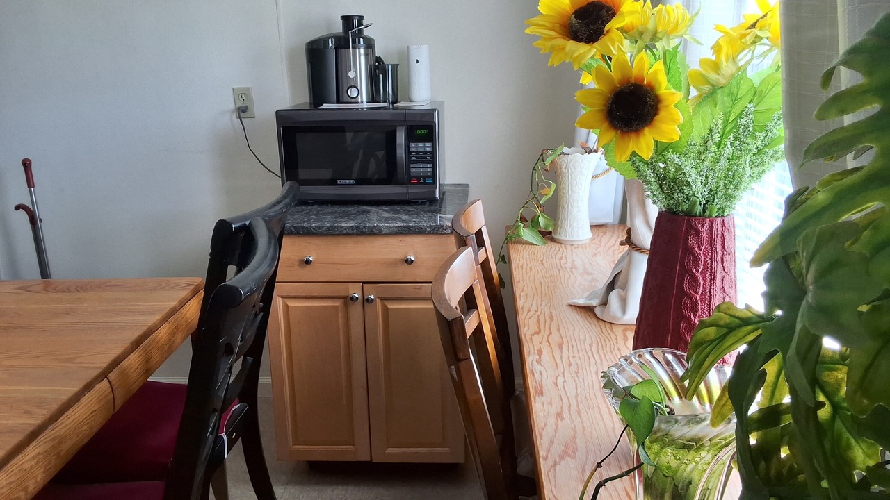 Photo of Others in Elmont