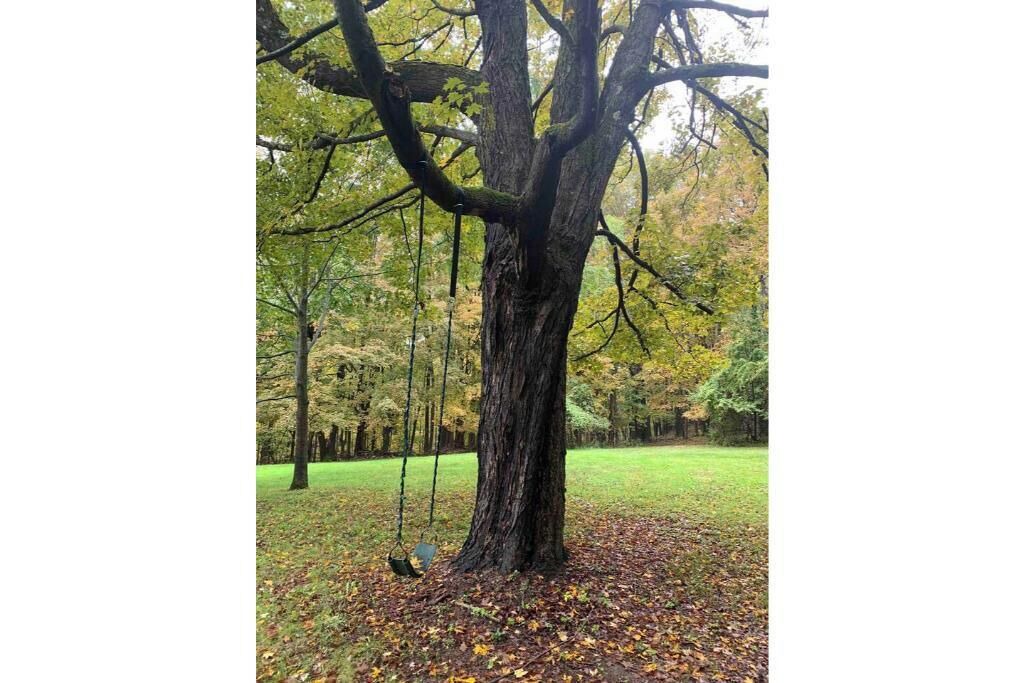 Photo of Others in Old Chatham