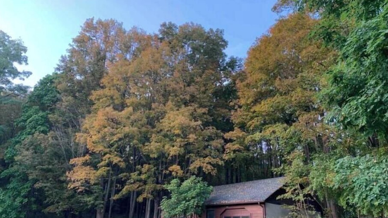 Photo of Outdoor in Old Chatham