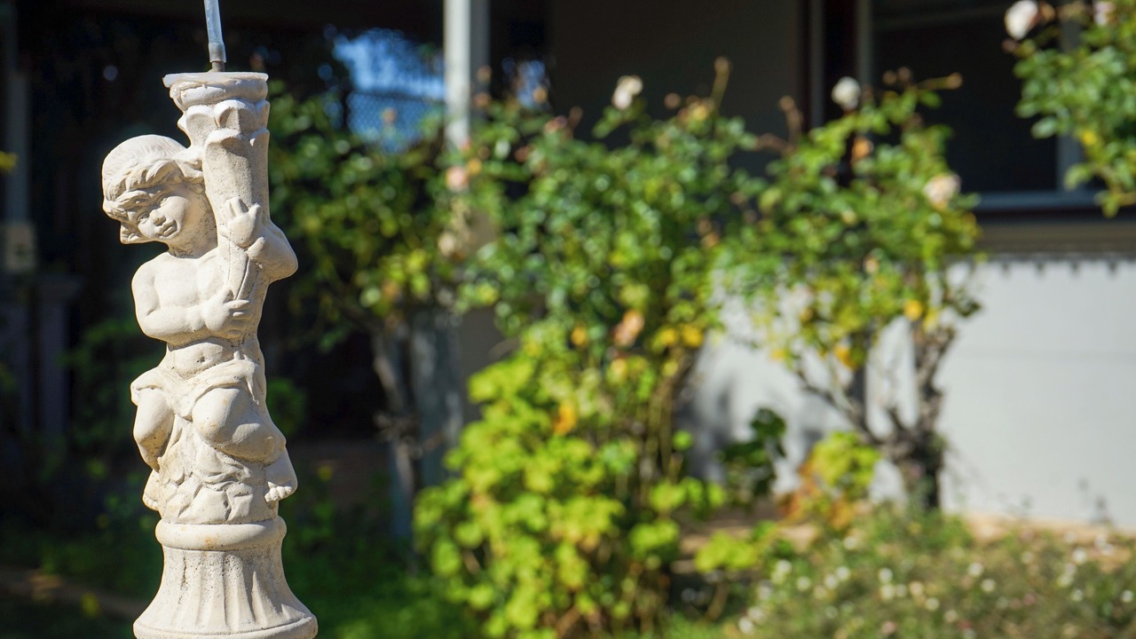 Photo of Others in Bendigo