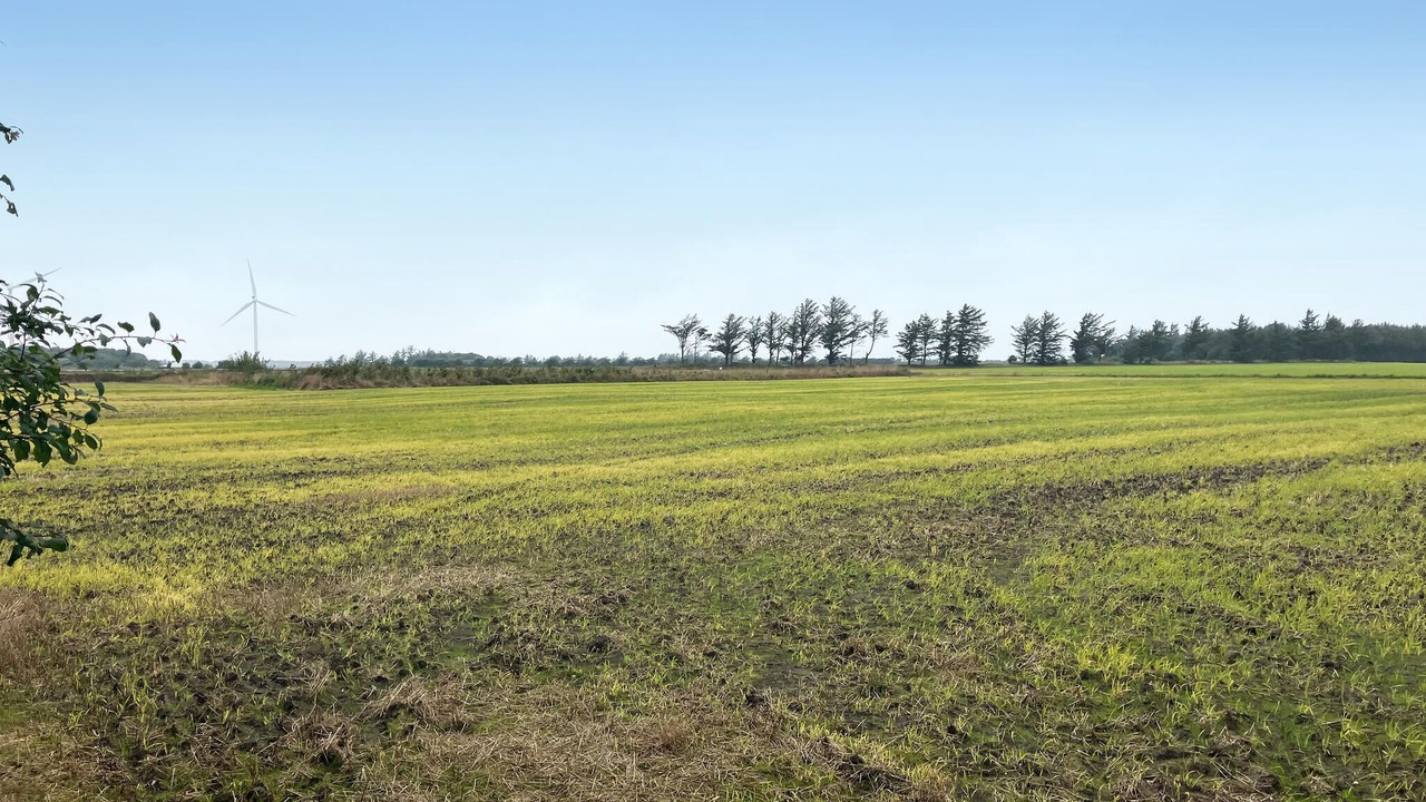 Photo of Bedroom in Thorsminde