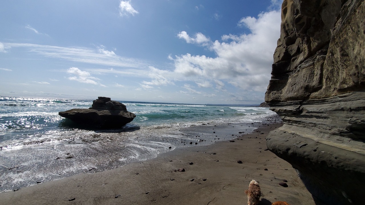 Photo of Others in La Fonda