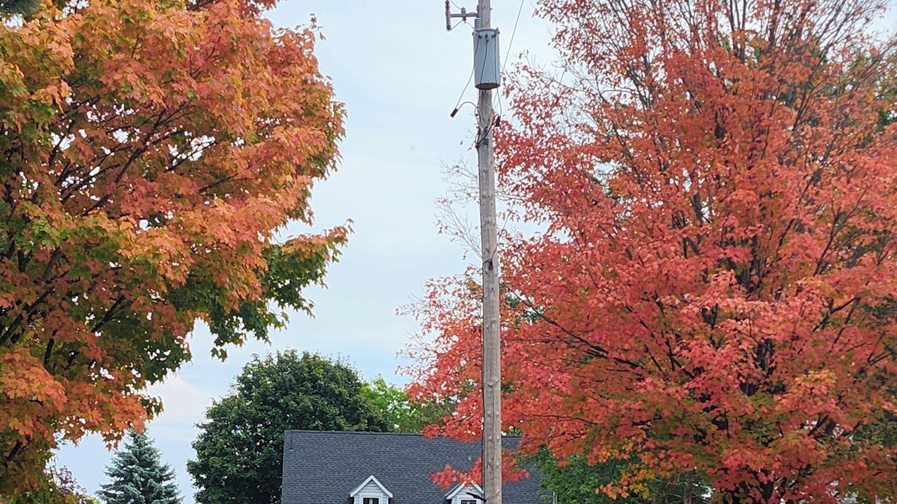 Photo of Outdoor in Greater Napanee