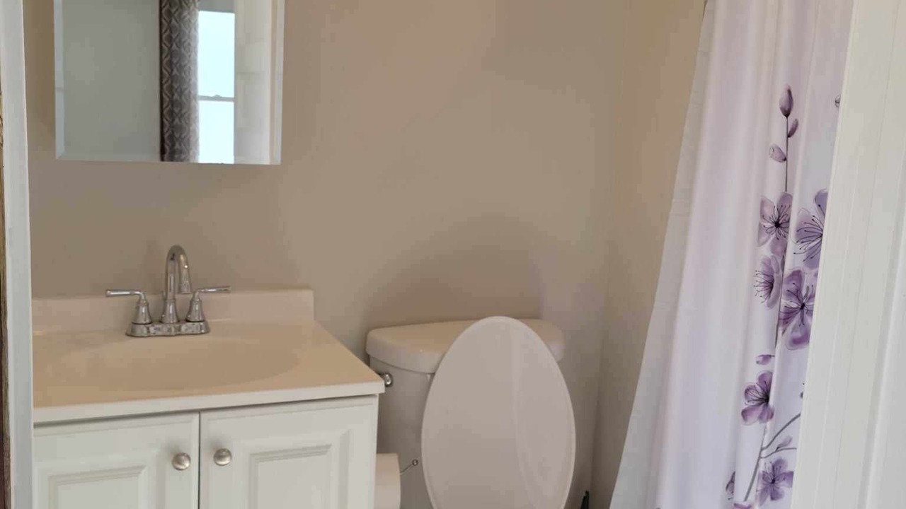 Photo of Bathroom in Napoleon