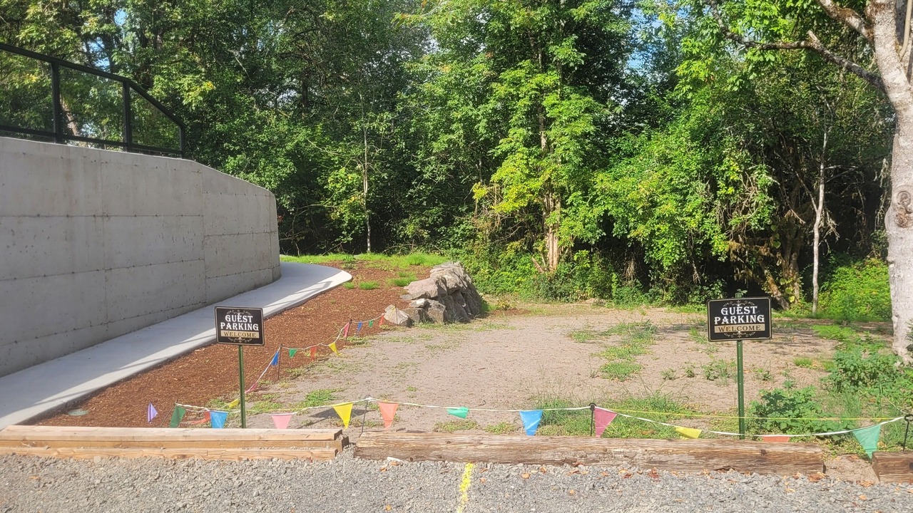 Photo of Outdoor in Woodland