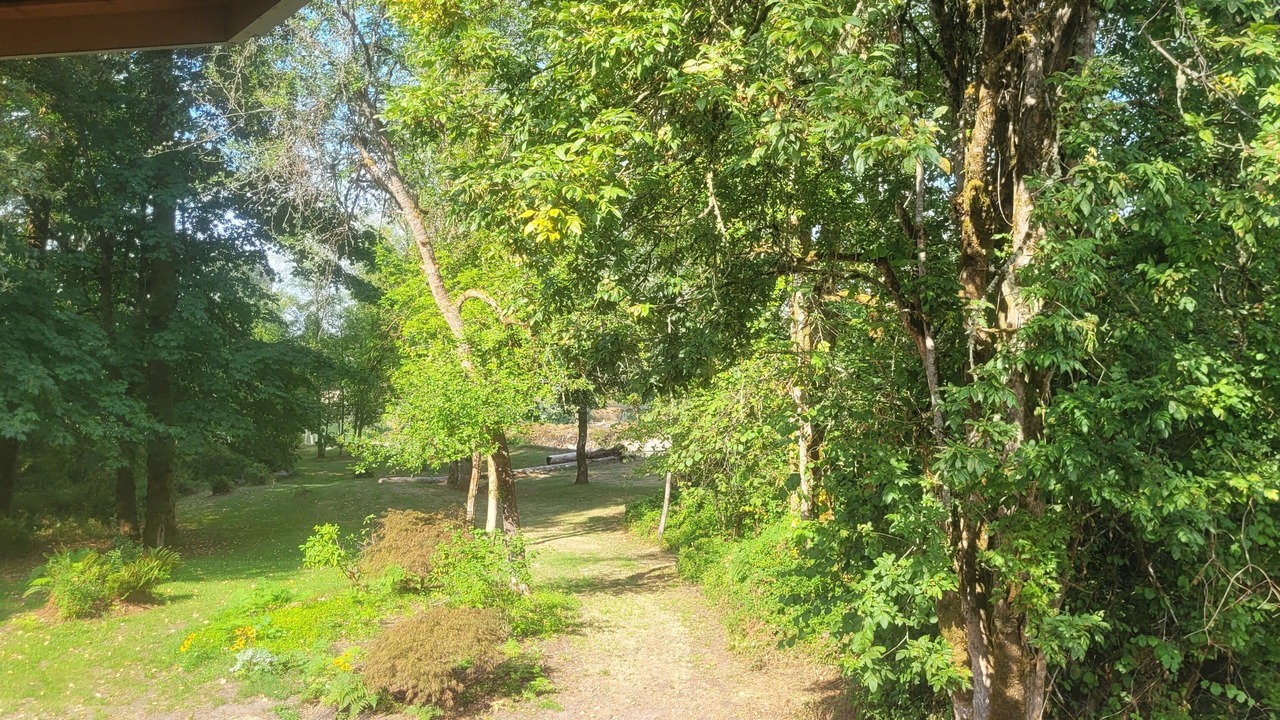 Photo of Outdoor in Woodland