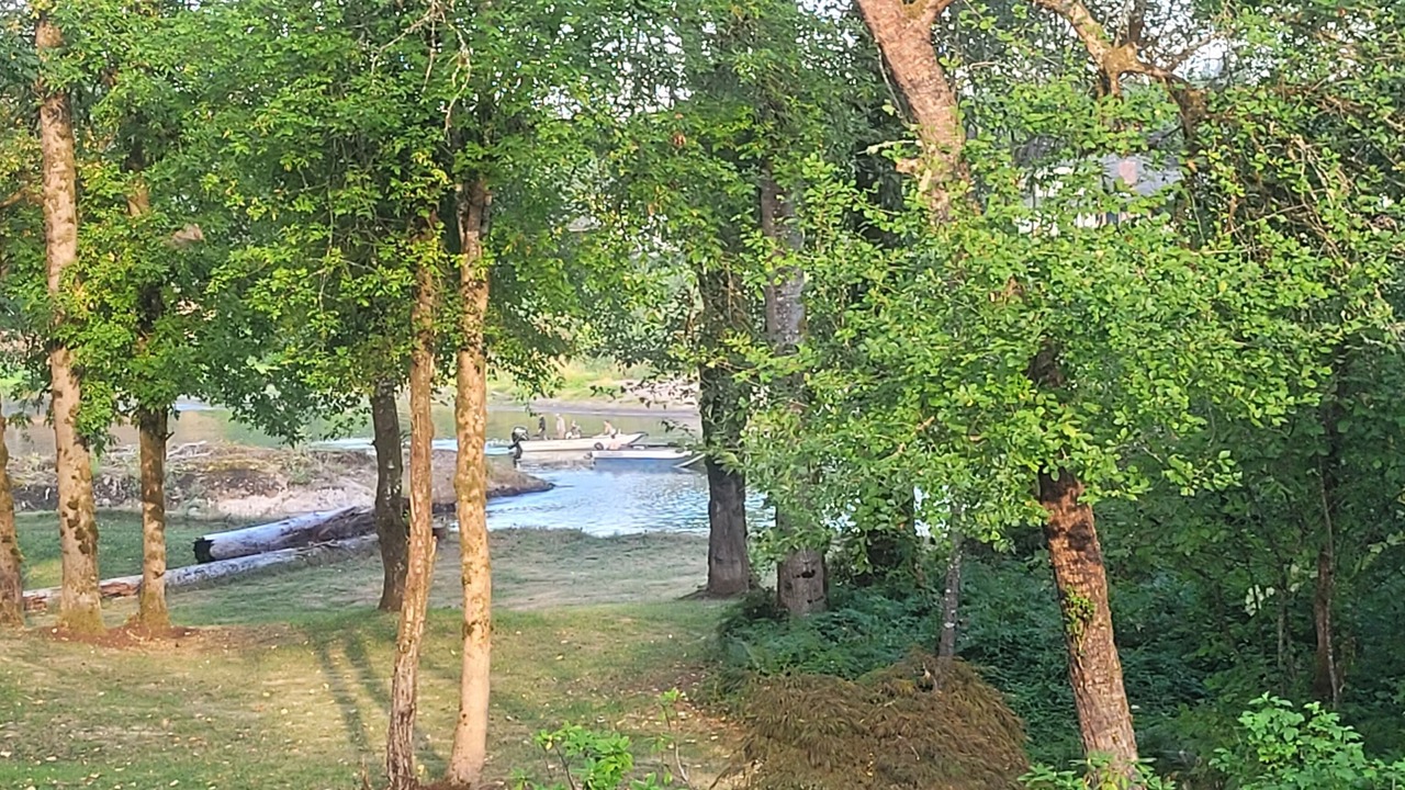 Photo of Others in Woodland