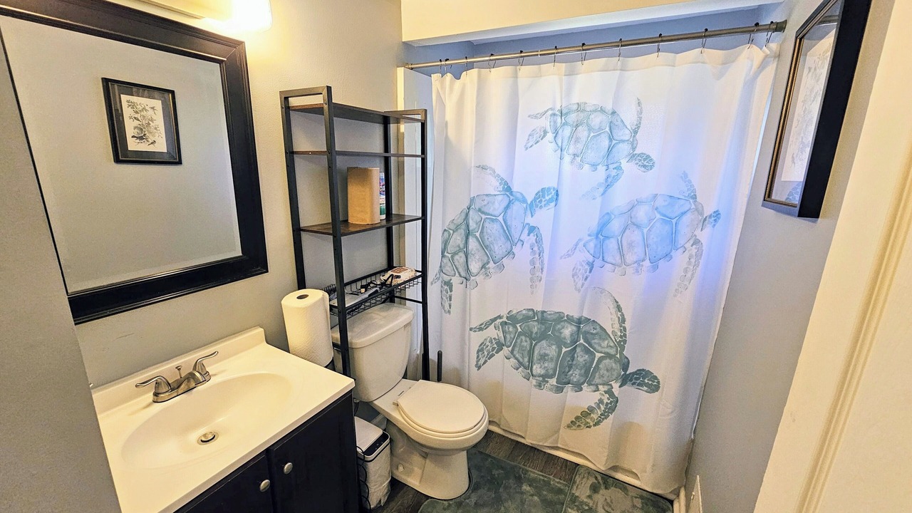 Photo of Bathroom in Romulus