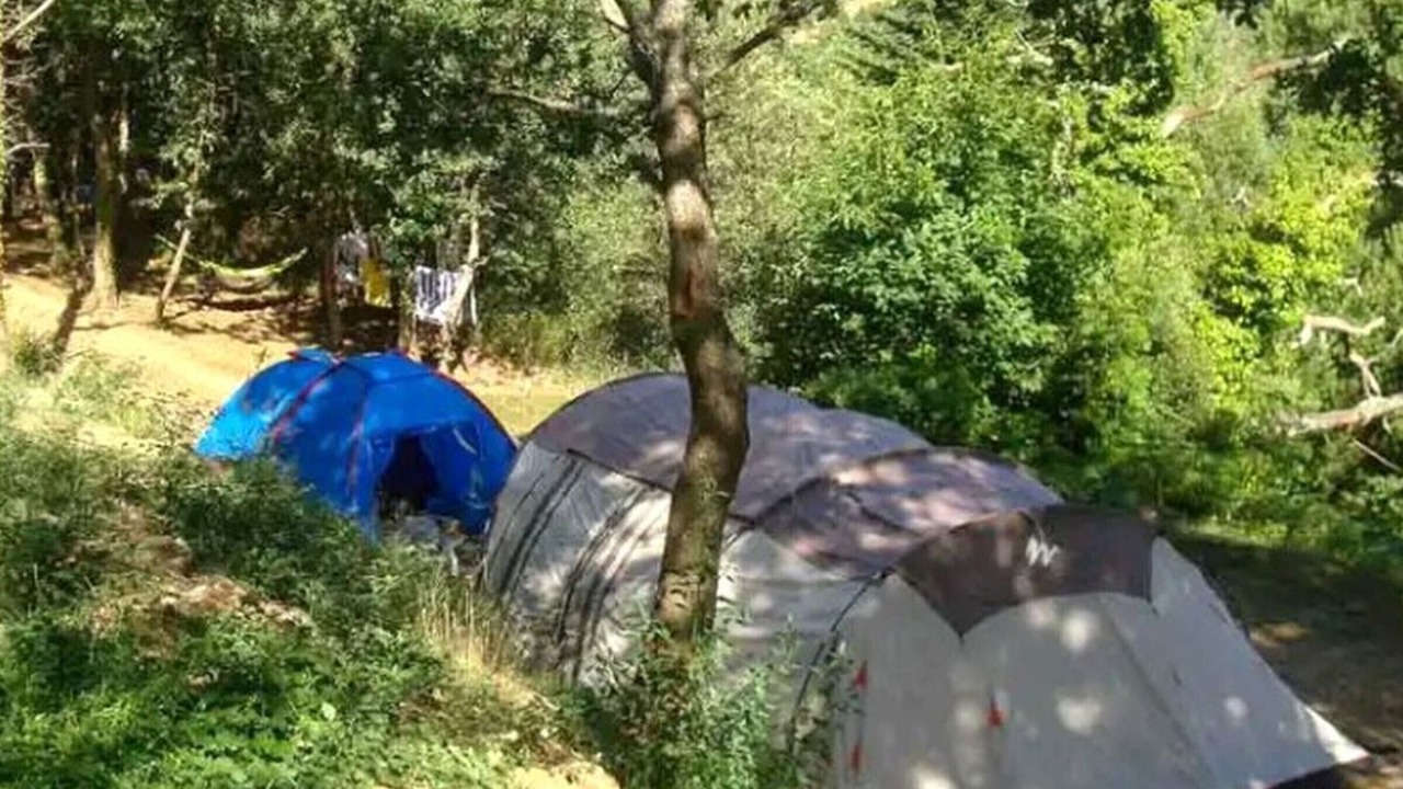 Photo of Others in Fenouillet