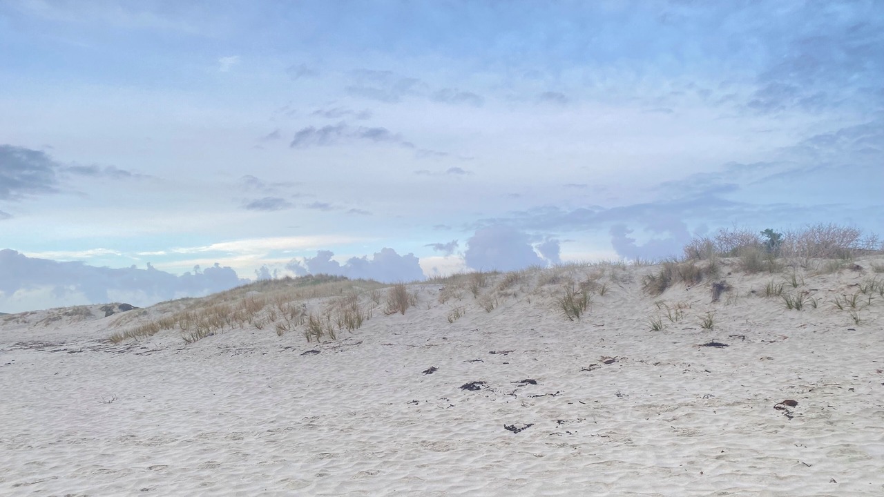 Photo of Others in Omaha