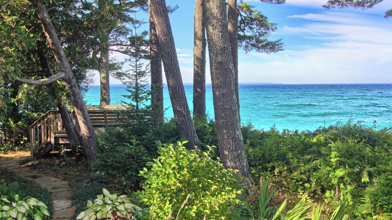 Photo of Outdoor in Leland