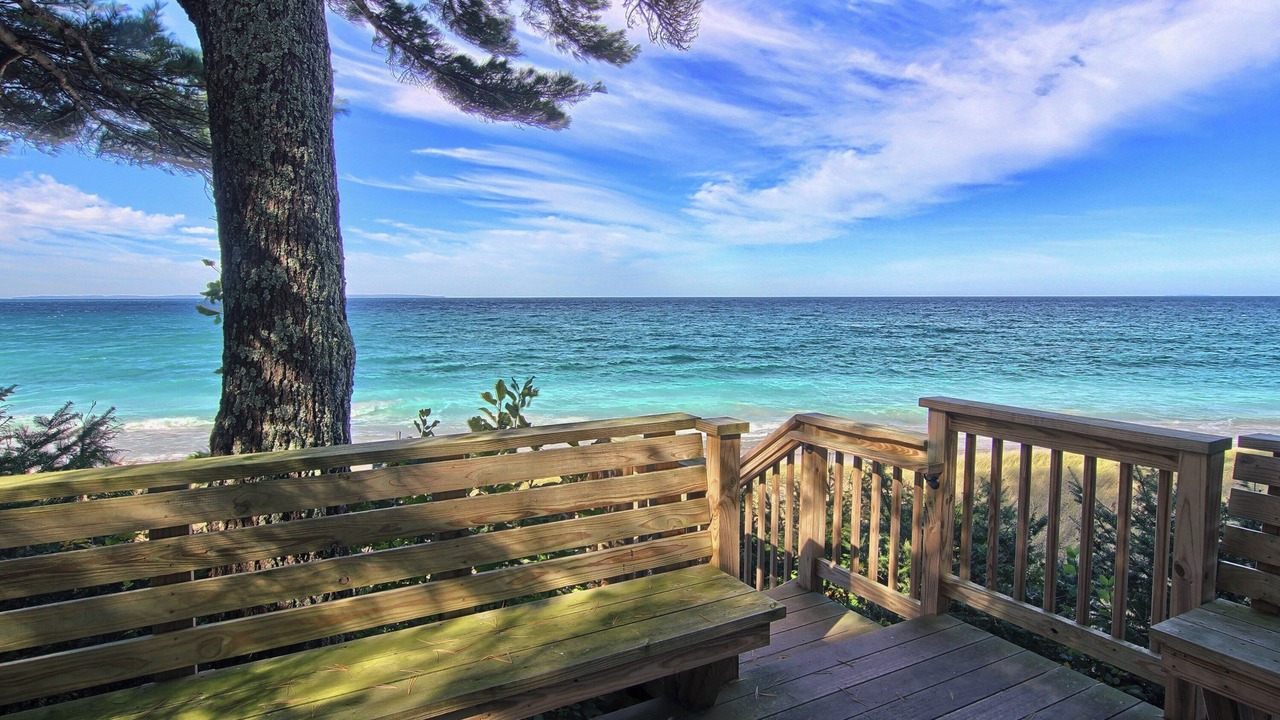 Photo of Outdoor in Leland