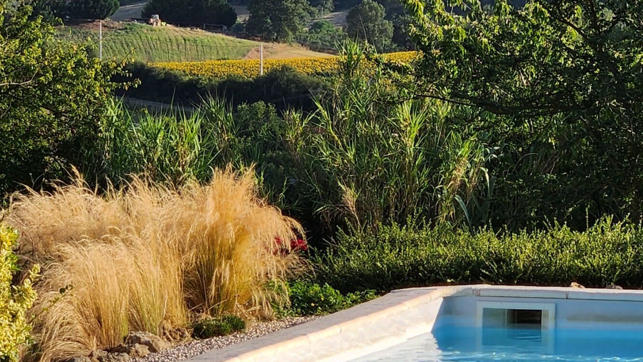 Photo of Outdoor in Canens