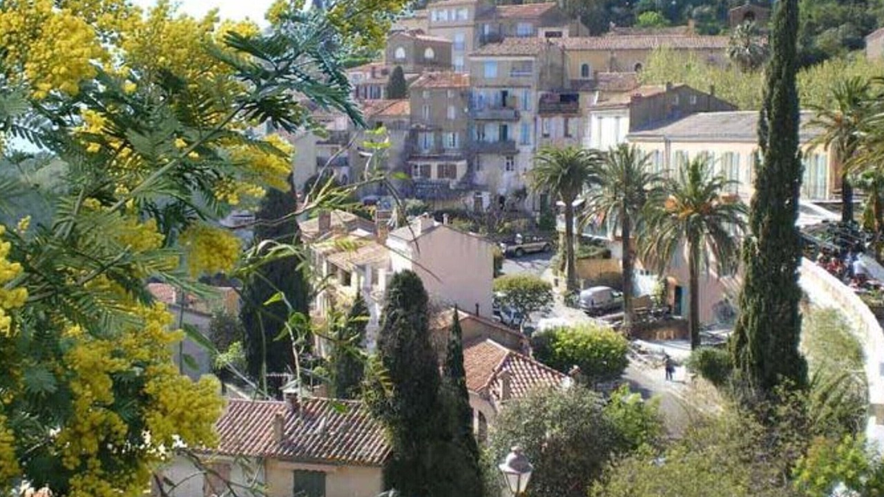 Photo of Others in Bormes-Les-Mimosas