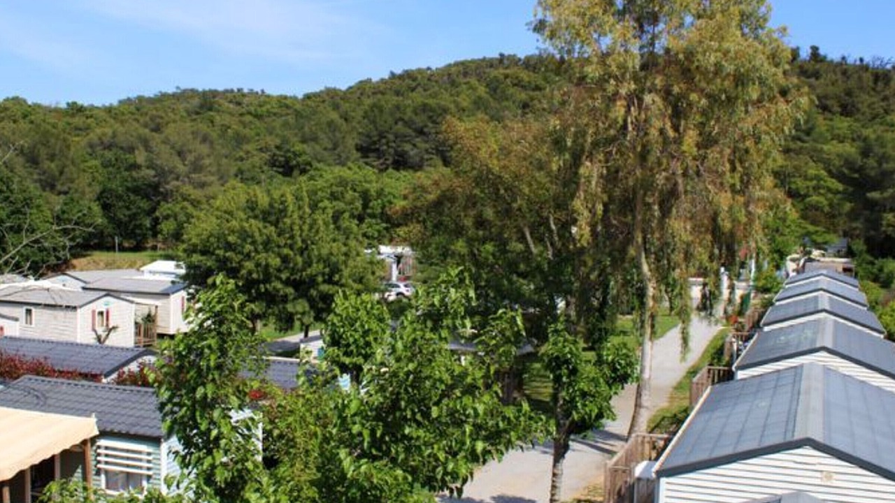 Photo of Others in Bormes-Les-Mimosas