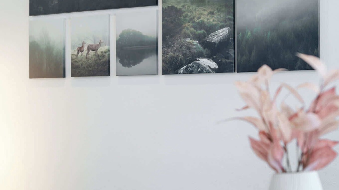 Photo of Others in Pyrmont