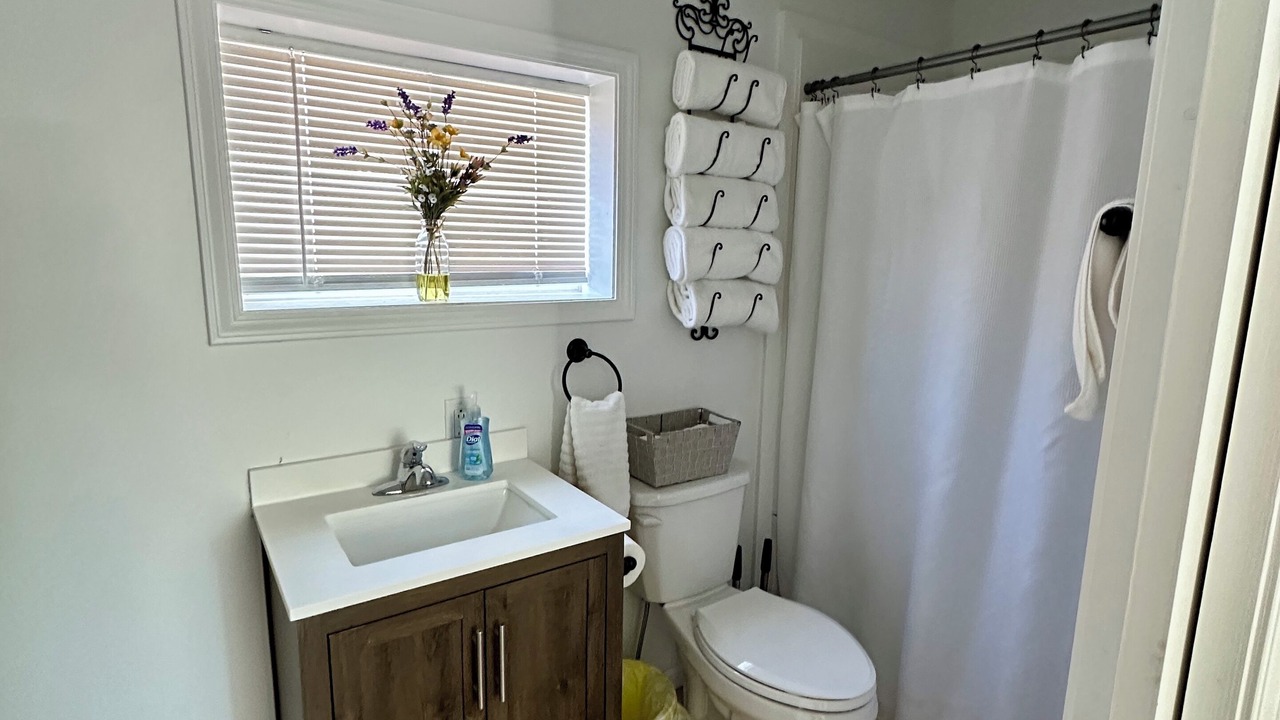 Photo of Bathroom in Laurium