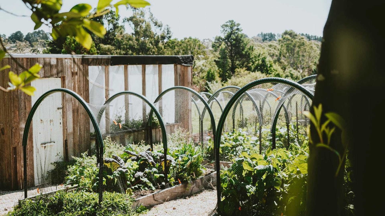 Photo of Outdoor in Lauriston