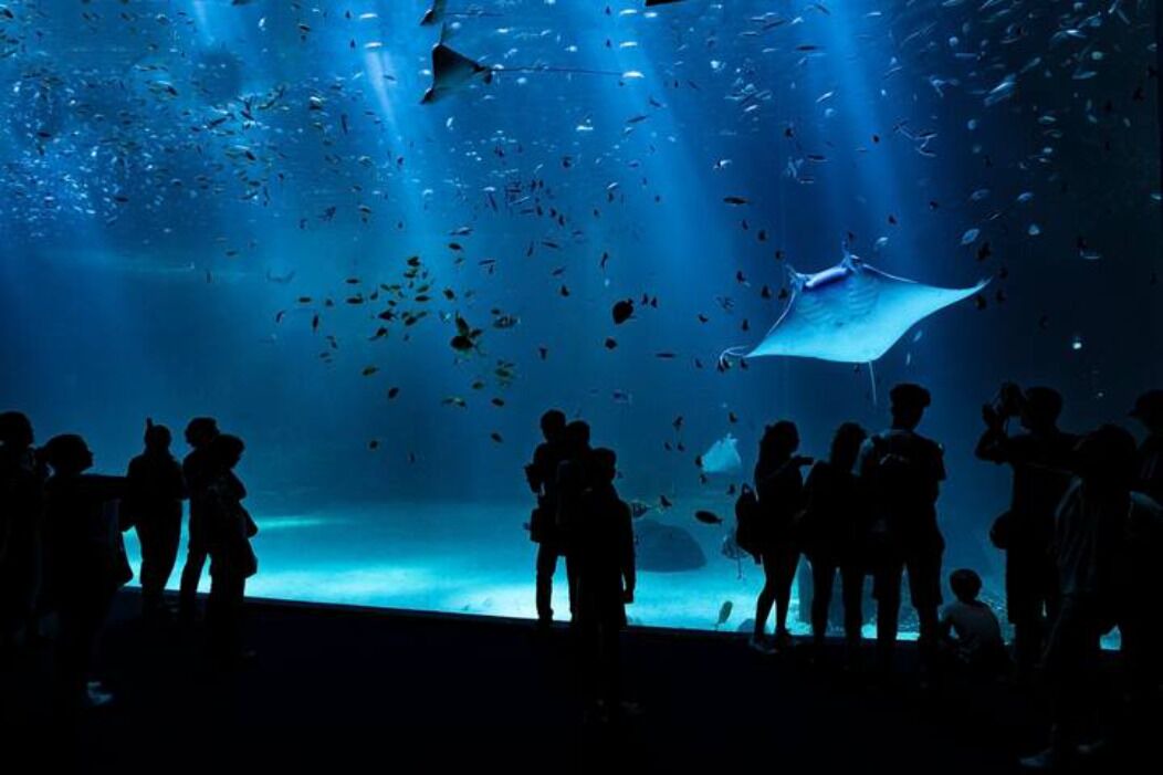 Photo of Others in Le Portel