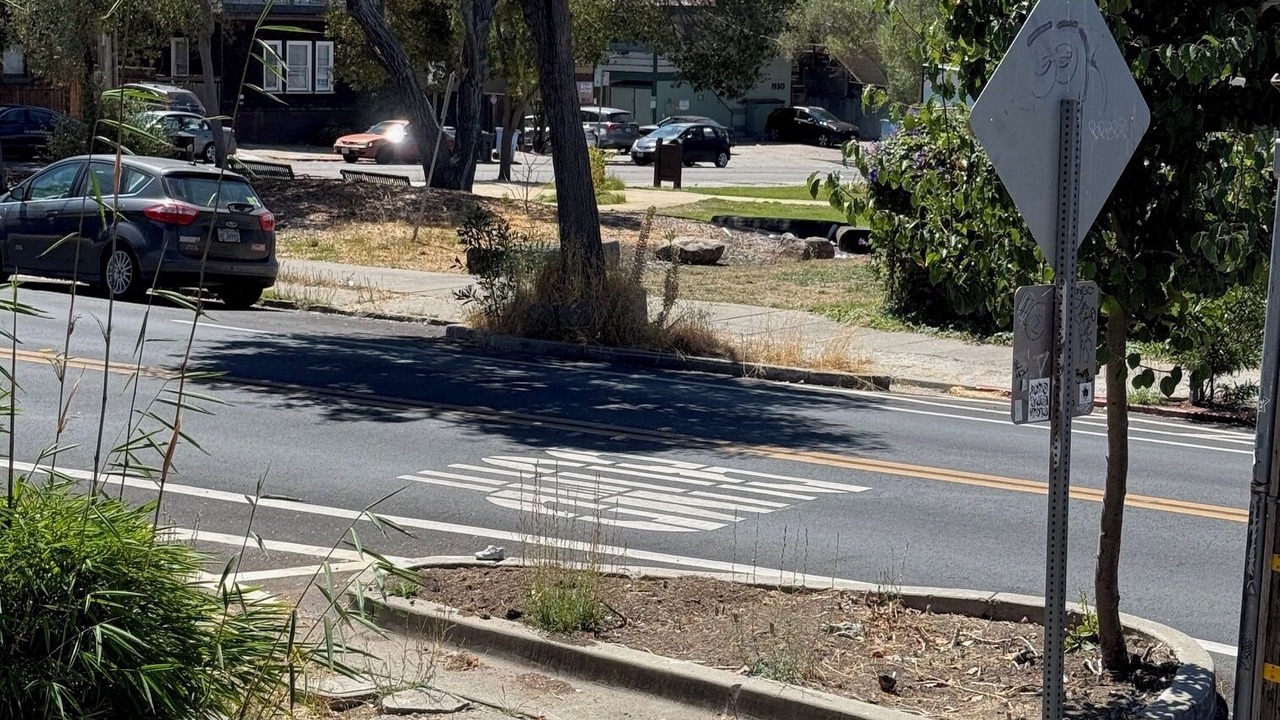Photo of Outdoor in North Berkeley