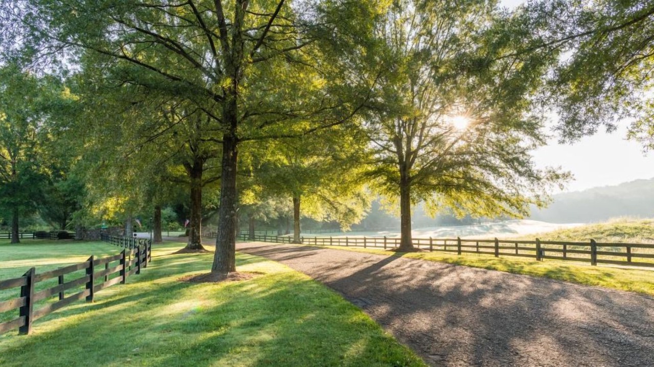 Photo of Outdoor in Mount Berry