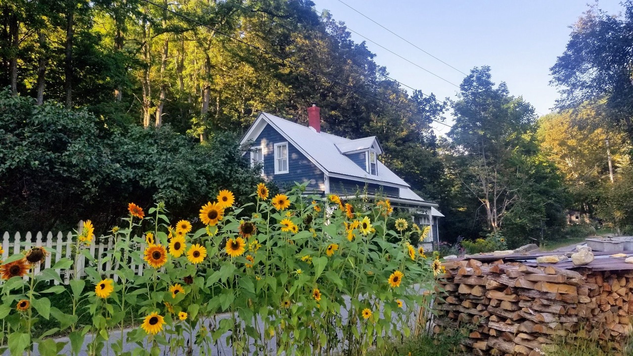 Photo of Outdoor in West Townshend