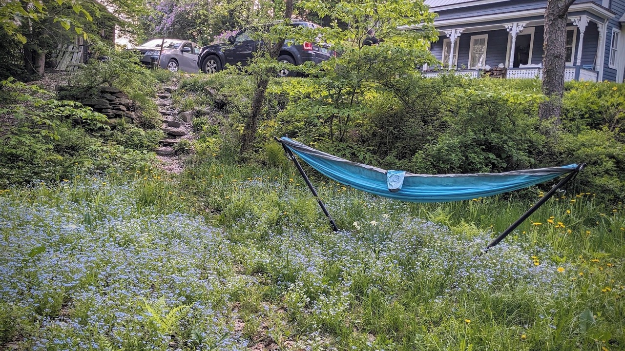 Photo of Outdoor in West Townshend