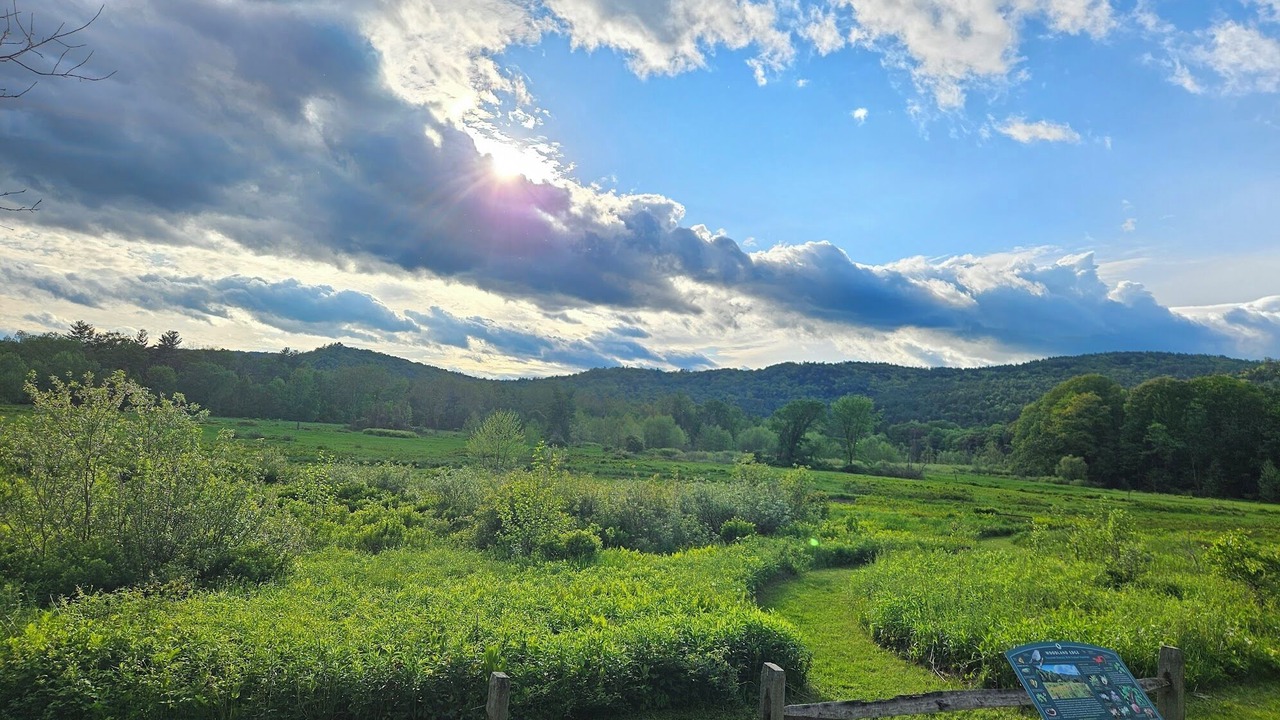 Photo of Others in West Townshend