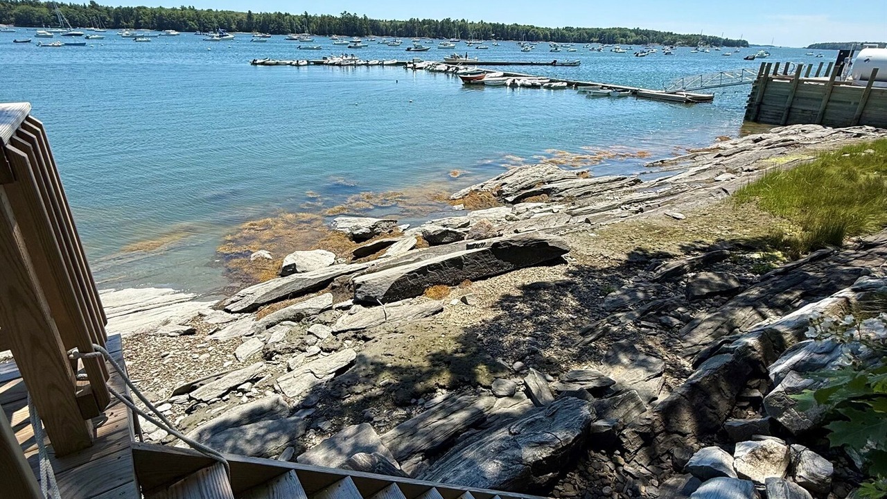 Photo of Others in Brunswick