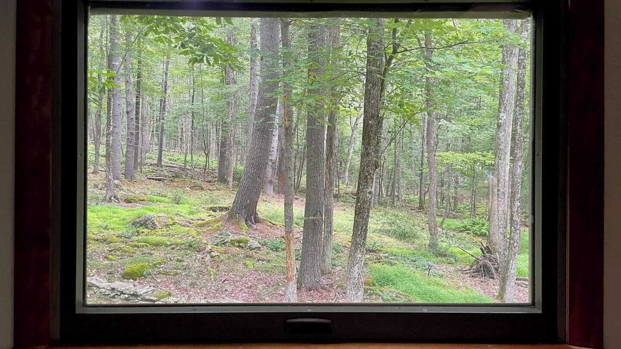 Photo of Others in Yulan