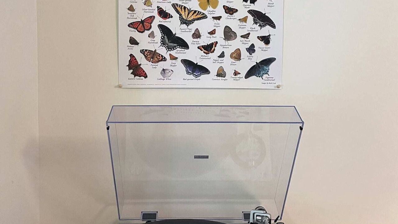 Photo of Others in Yulan