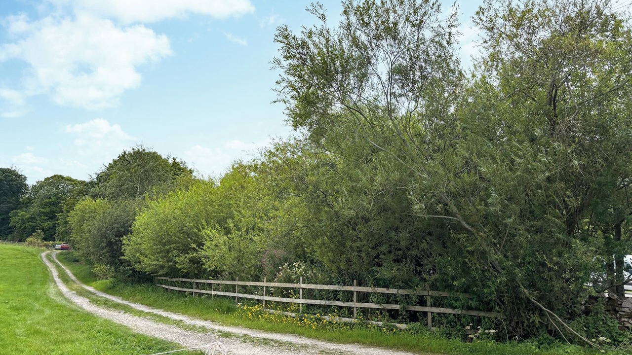 Photo of Others in Kilnsey