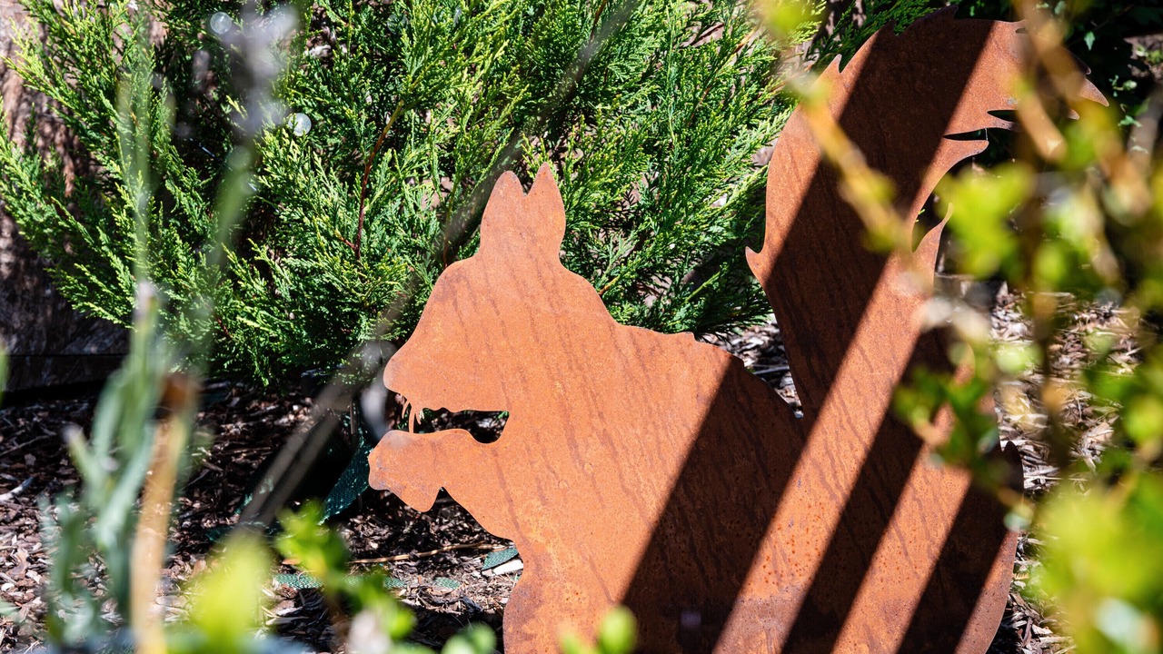 Photo of Outdoor in Granges-Aumontzey