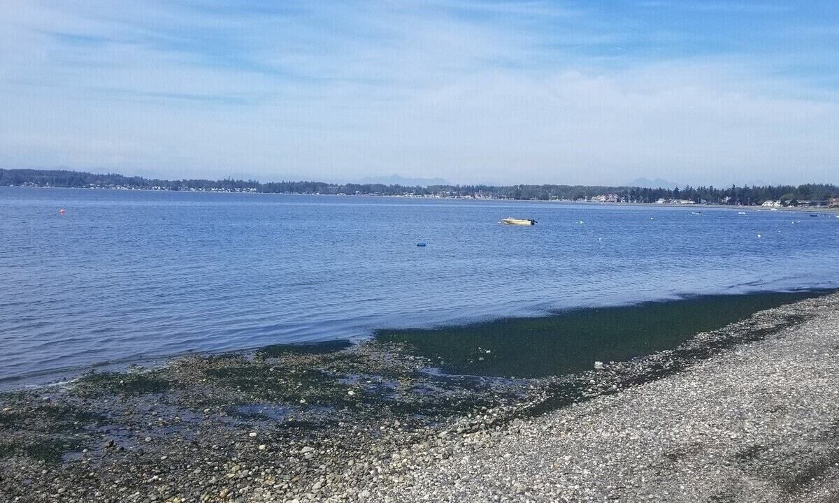 Photo of Others in Birch Bay