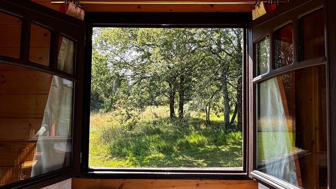 Photo of Others in La Chapelle-Blanche-Saint-Martin