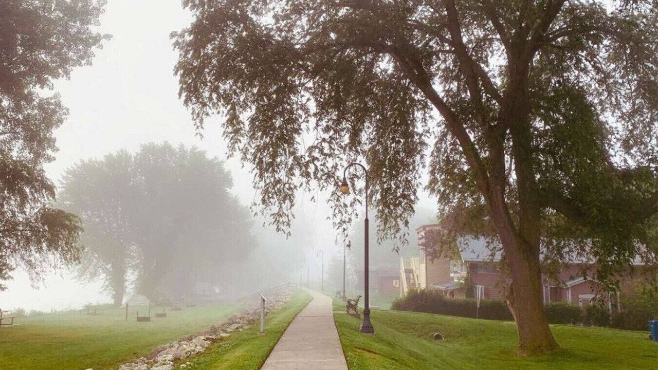 Photo of Outdoor in Treloar