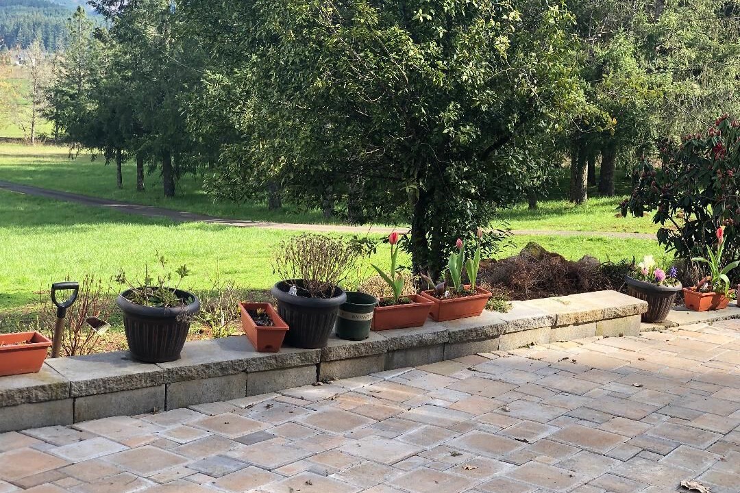 Photo of Outdoor in Thurston