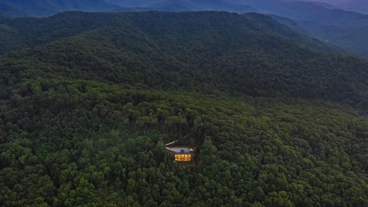 Photo of Others in Cherry Log