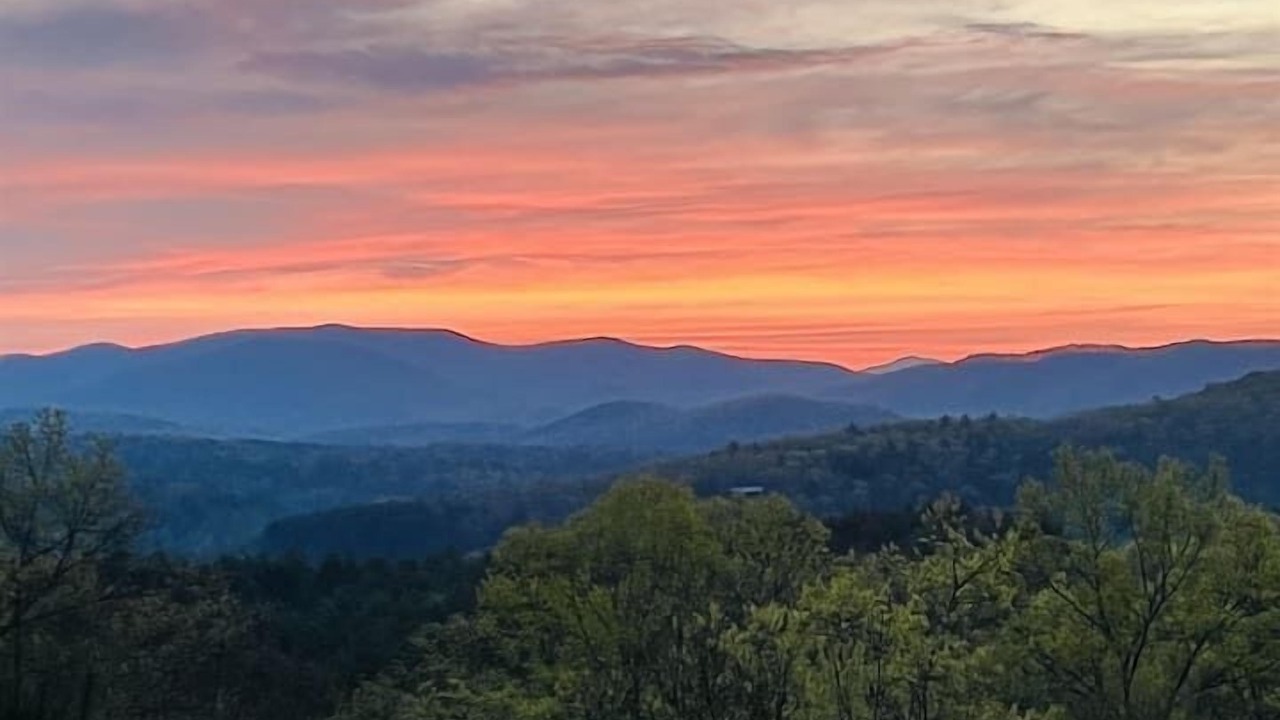 Photo of Others in Cherry Log