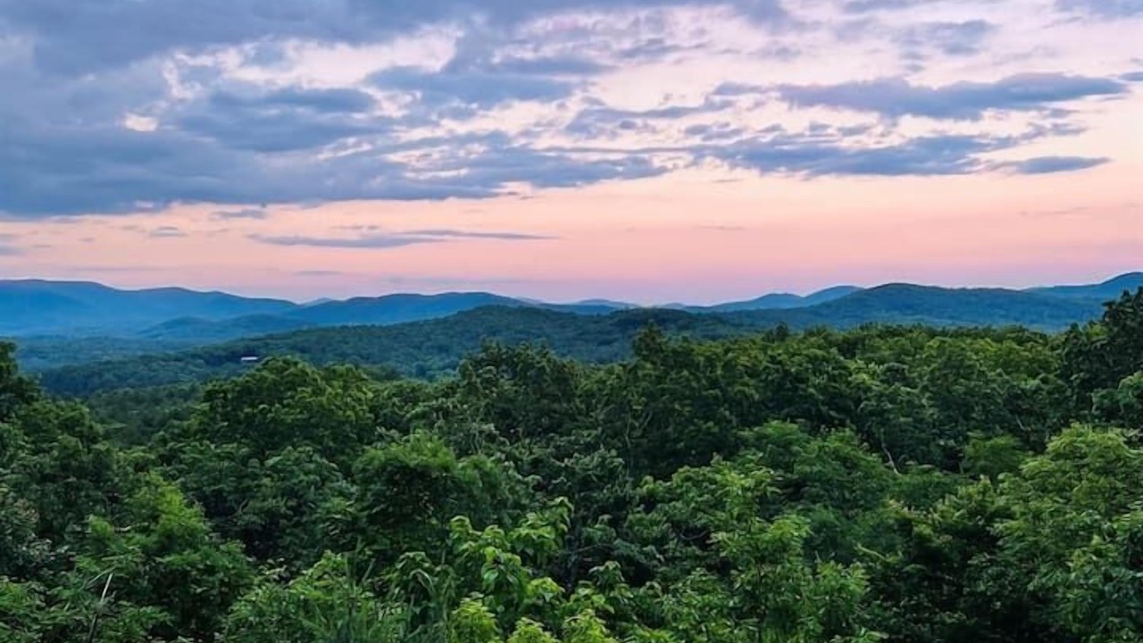 Photo of Others in Cherry Log